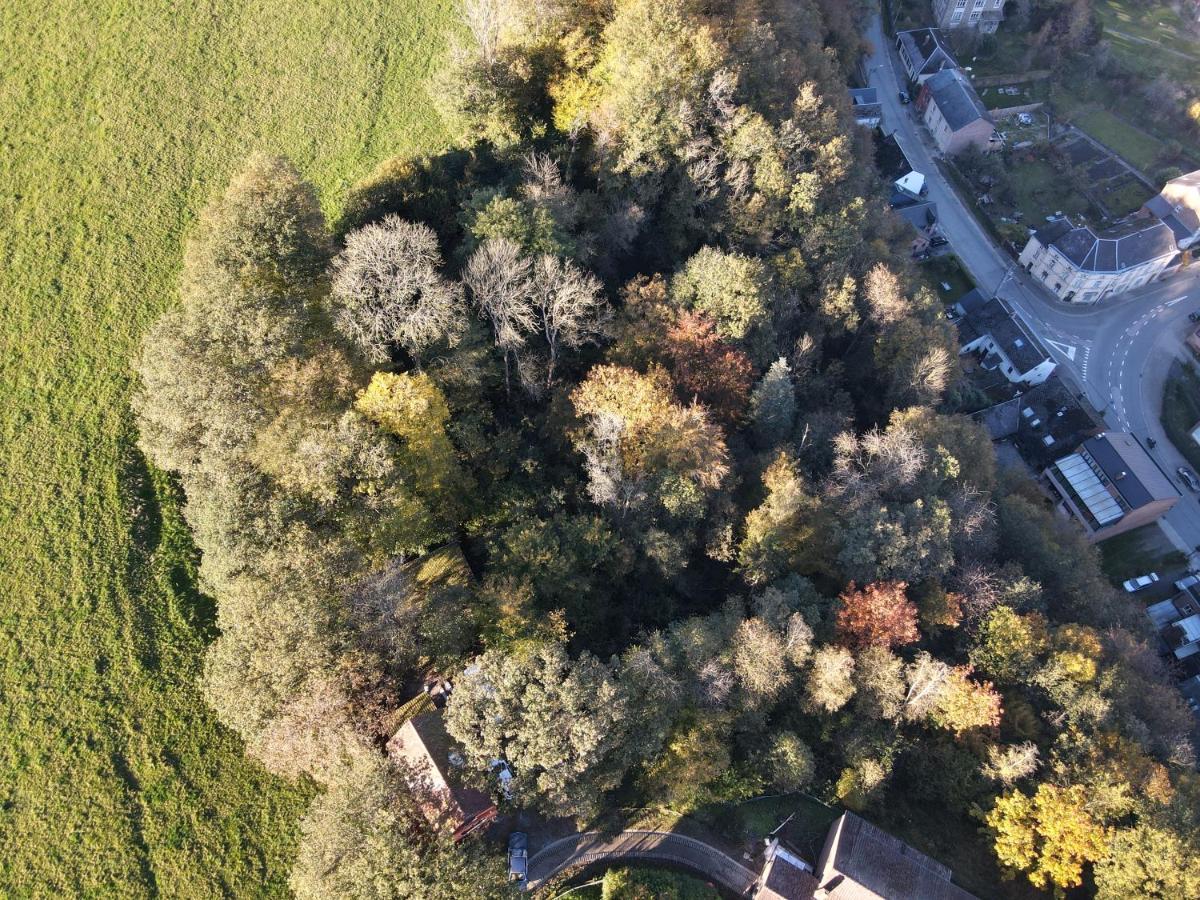 Gites Douillets A L'Oree Des Bois. Houyet Екстериор снимка
